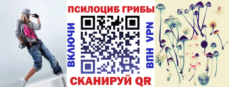 где купить Кимовск Псилоцибиновые грибы мицелий